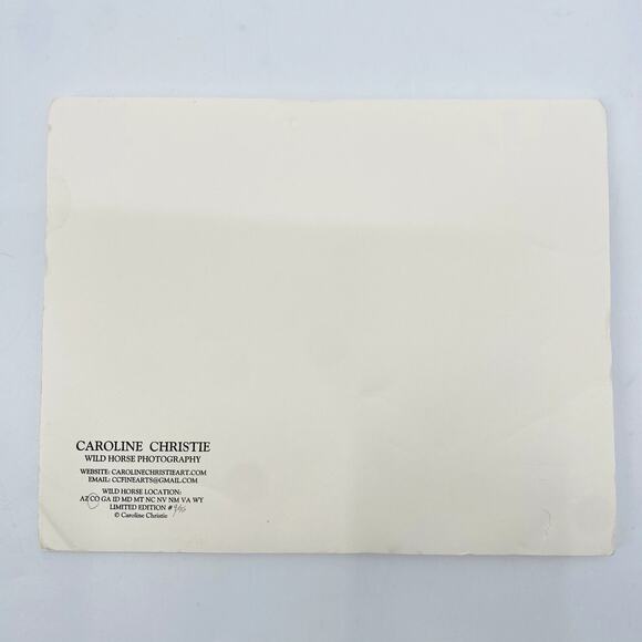 Caroline Christie Wild Horse Edition Print - Picture 2 of 2